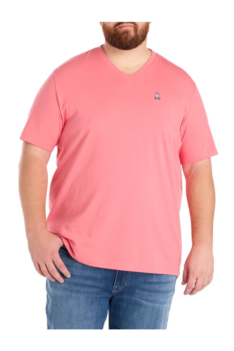 Big & Tall V-Neck T-Shirt, Main, color, RUBI QUARTZ