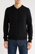 Nordstrom V-Neck Cashmere Sweater