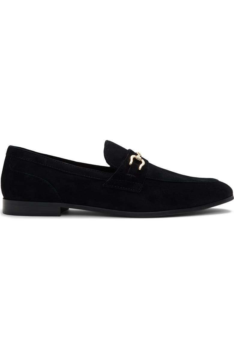 ALDO Marinho Bit Loafer, Alternate, color,