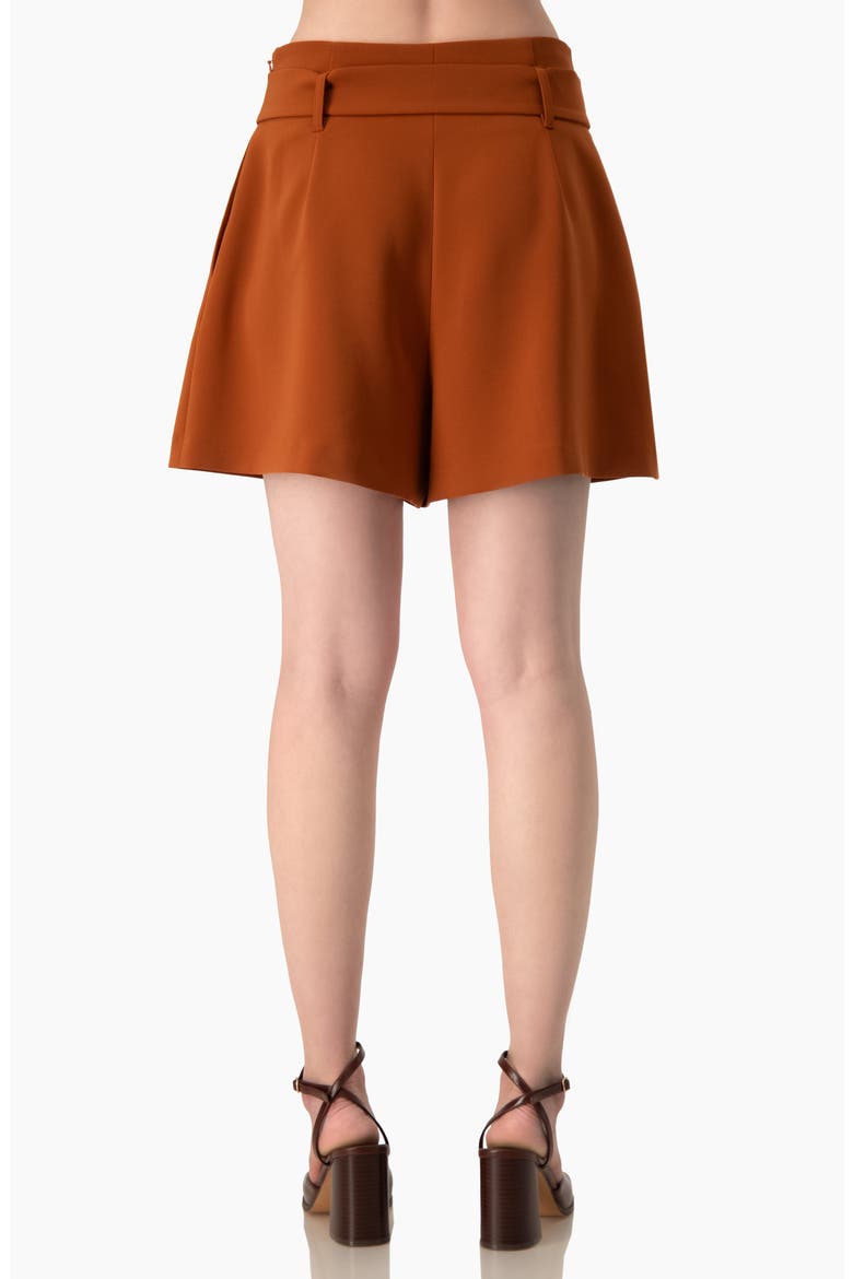 High-Rise Tailored Shorts with Removable Belt, Alternate, color, Chedron