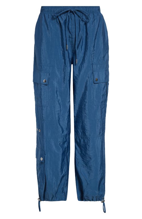 Cinq À Sept Cinq A Sept Nitsan Parachute Pants In Blue Corn