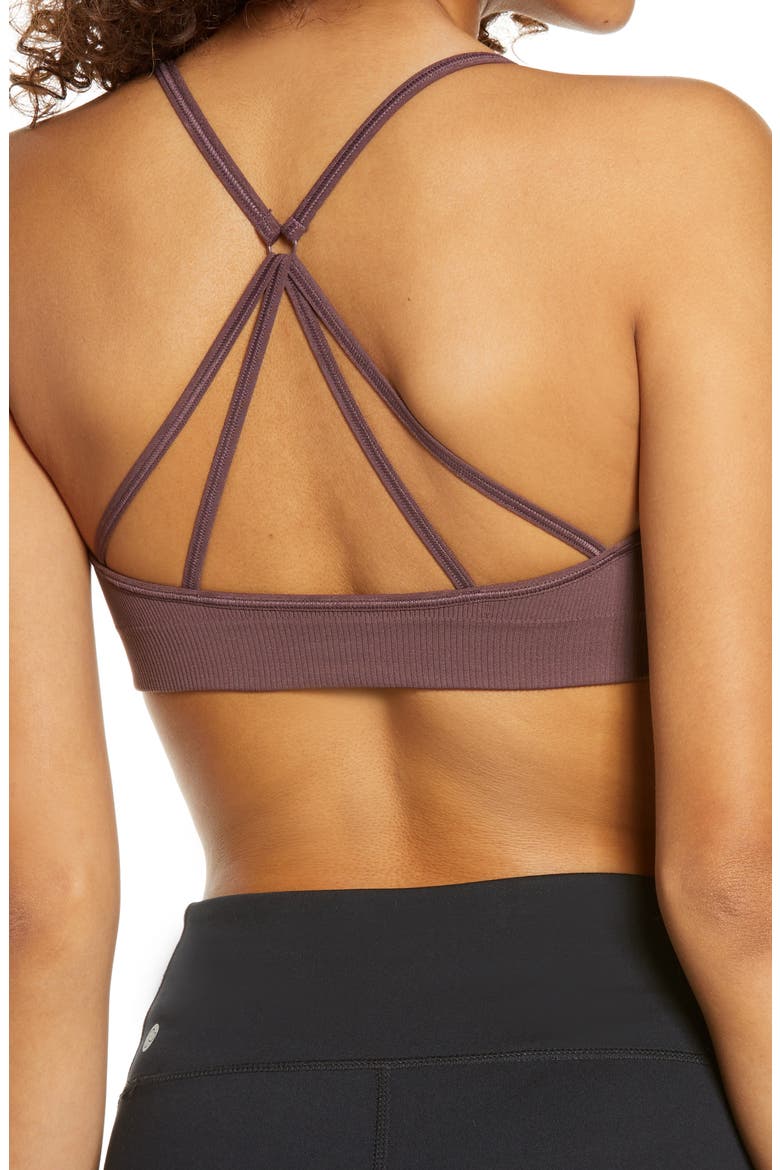 Body Flex Sports Bra, Alternate, color, BURGUNDY HUCKLE