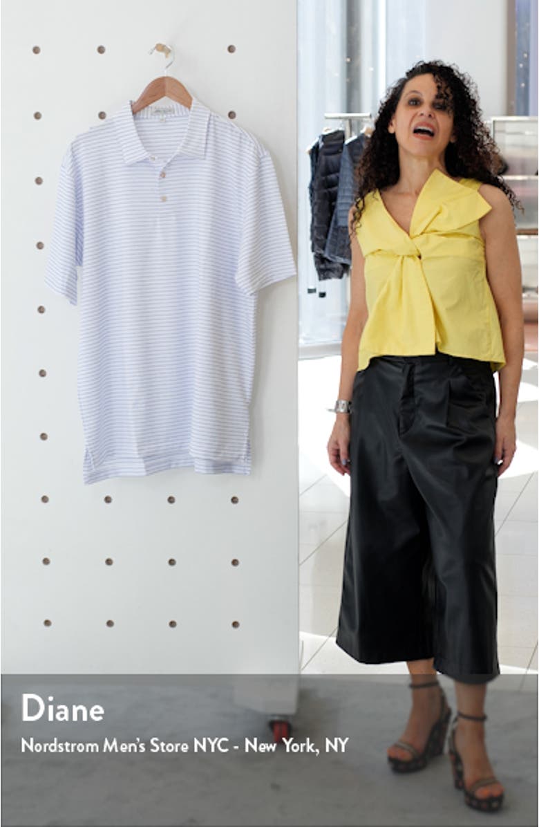 Crafty Stripe Short Sleeve Performance Polo, sales video thumbnail