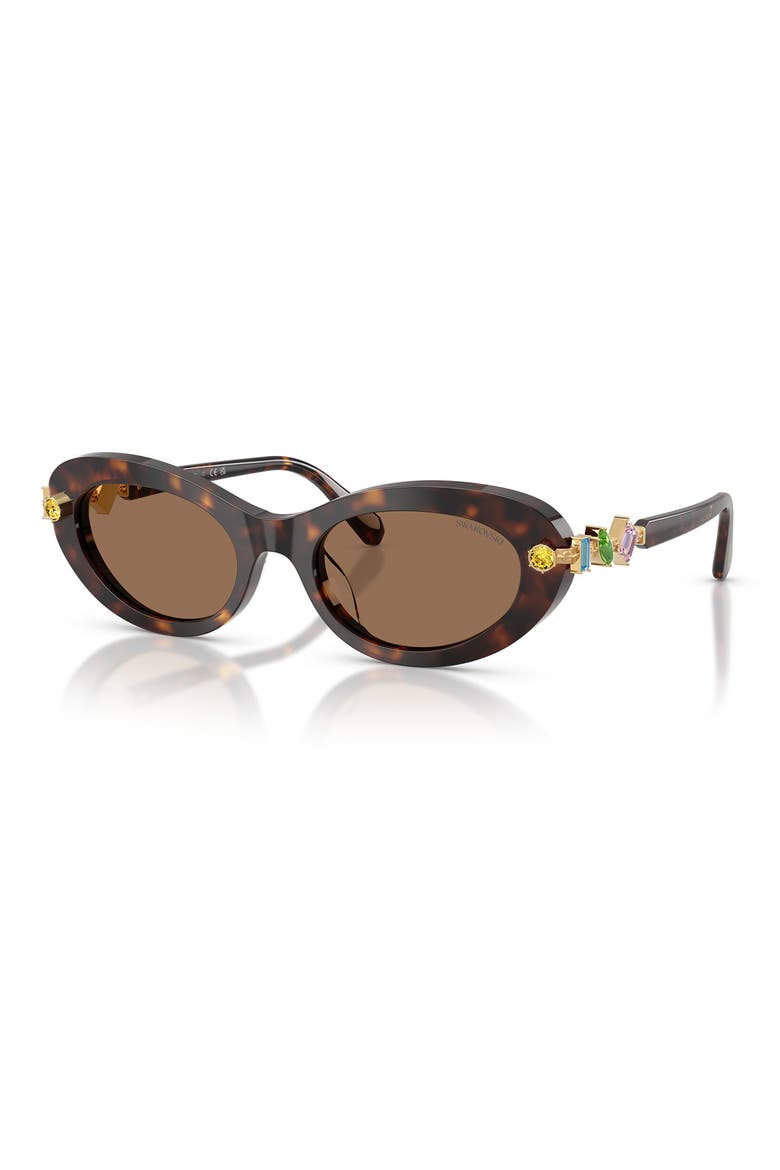 53mm Oval Sunglasses, Alternate, color, HAVANA / DARK BROWN