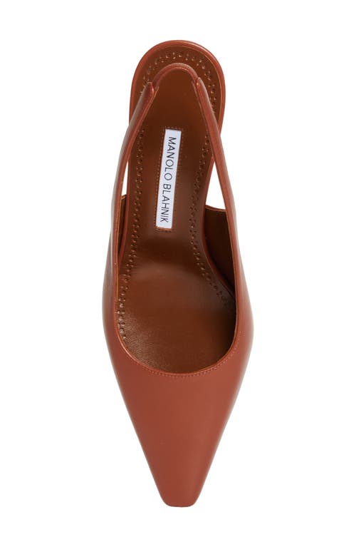 Manolo Blahnik Teutamospla Slingback Pump