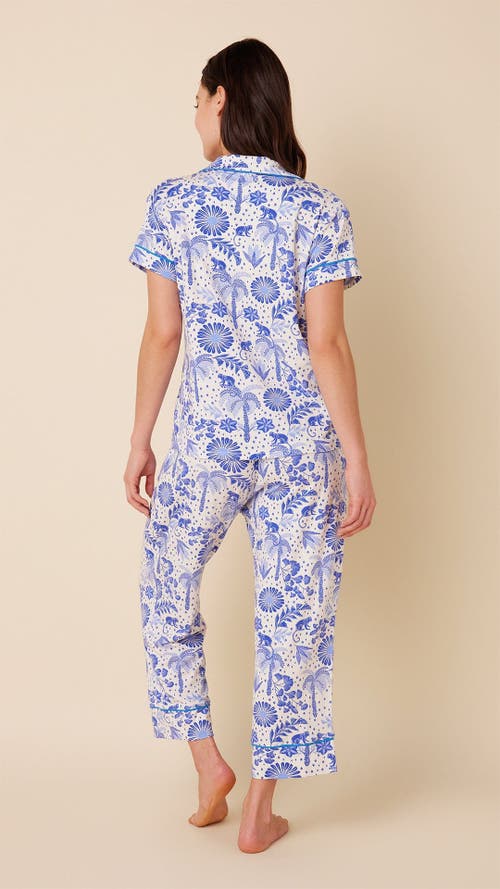 The Cat's Pajamas Pima Knit Capri Set