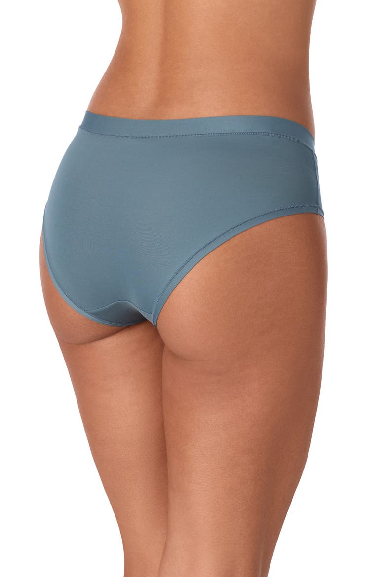 Litewear Active Comfort Hipster Panties, Alternate, color, STORMY WEATHER