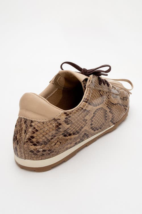 Forever & Always Shoes Crea Leather Sneakers In Open Brown Leather