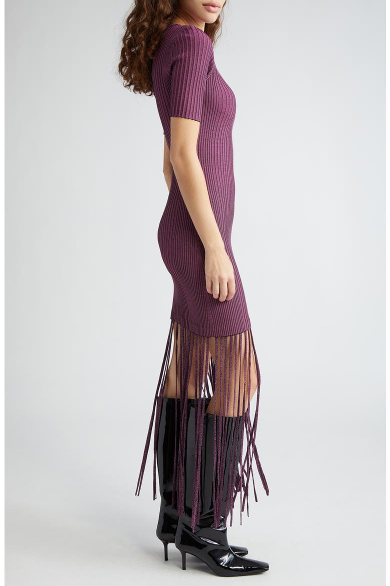 Melange Rib Fringe Detail Knit Dress, Alternate, color, FIJI FLOWER