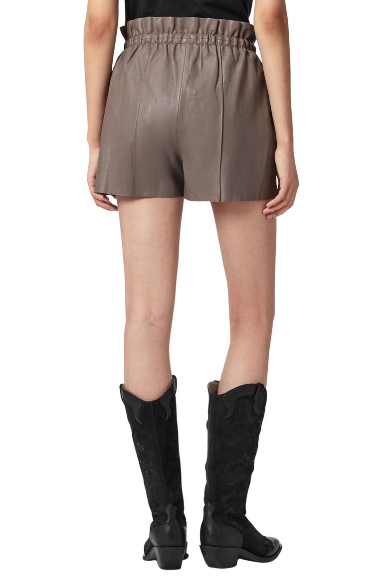 Fran Leather Shorts, Alternate, color, MOLE BROWN