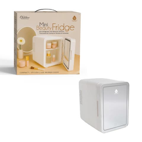 Mini Beauty Fridge with LED Mirror Door