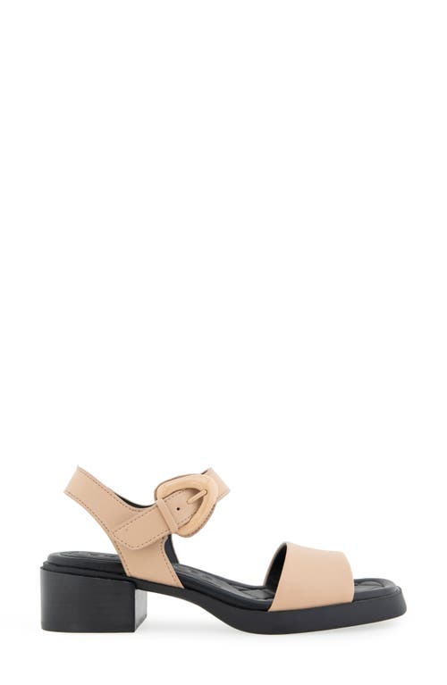 Aerosoles Dorian Block Heel Ankle Strap Sandal In Multi