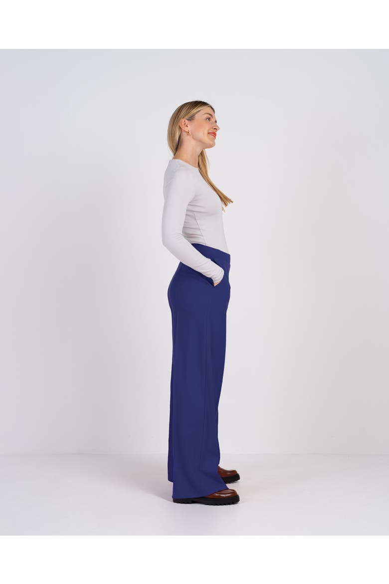 Ponte Wide Leg Pants, Alternate, color, Monaco Blue