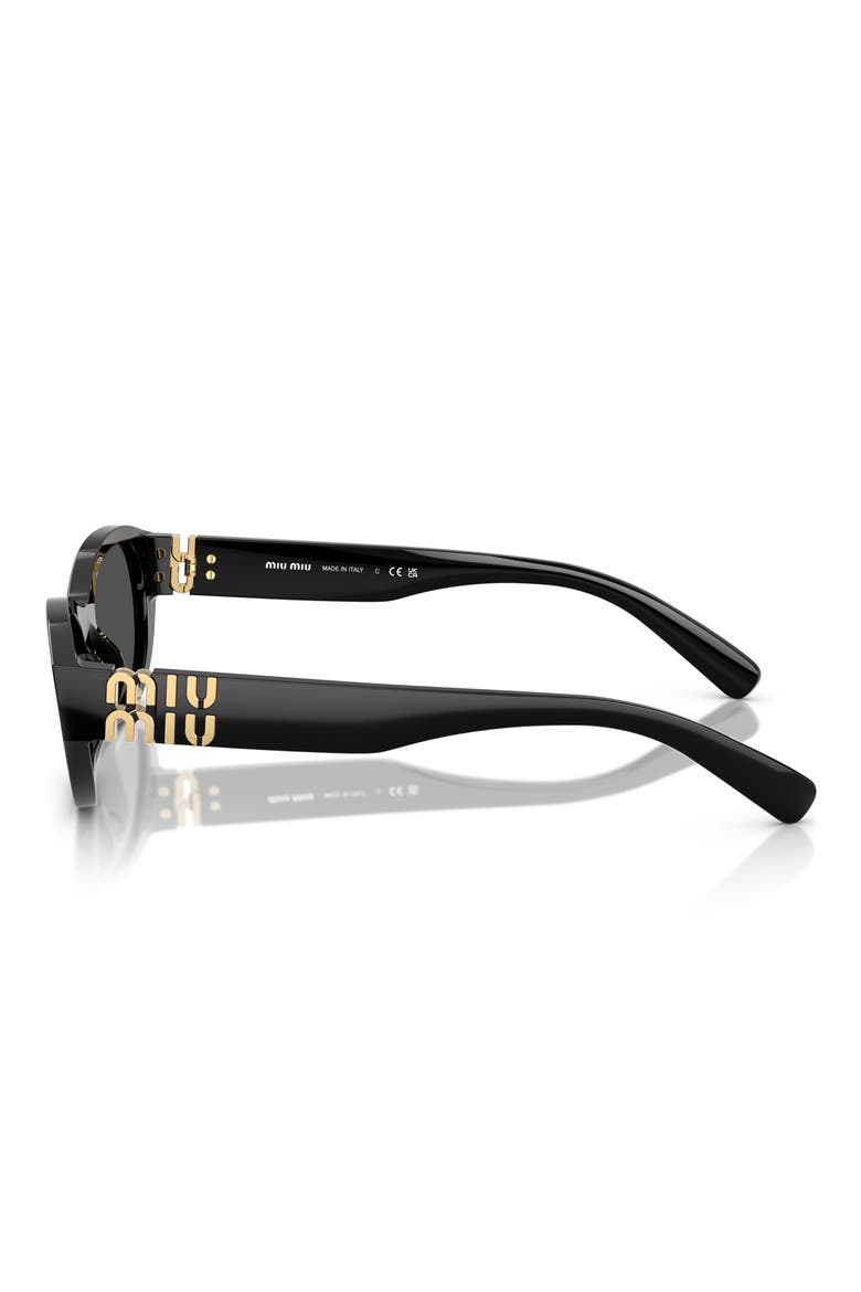 53mm Oval Sunglasses, Alternate, color, BLACK / DARK GREY