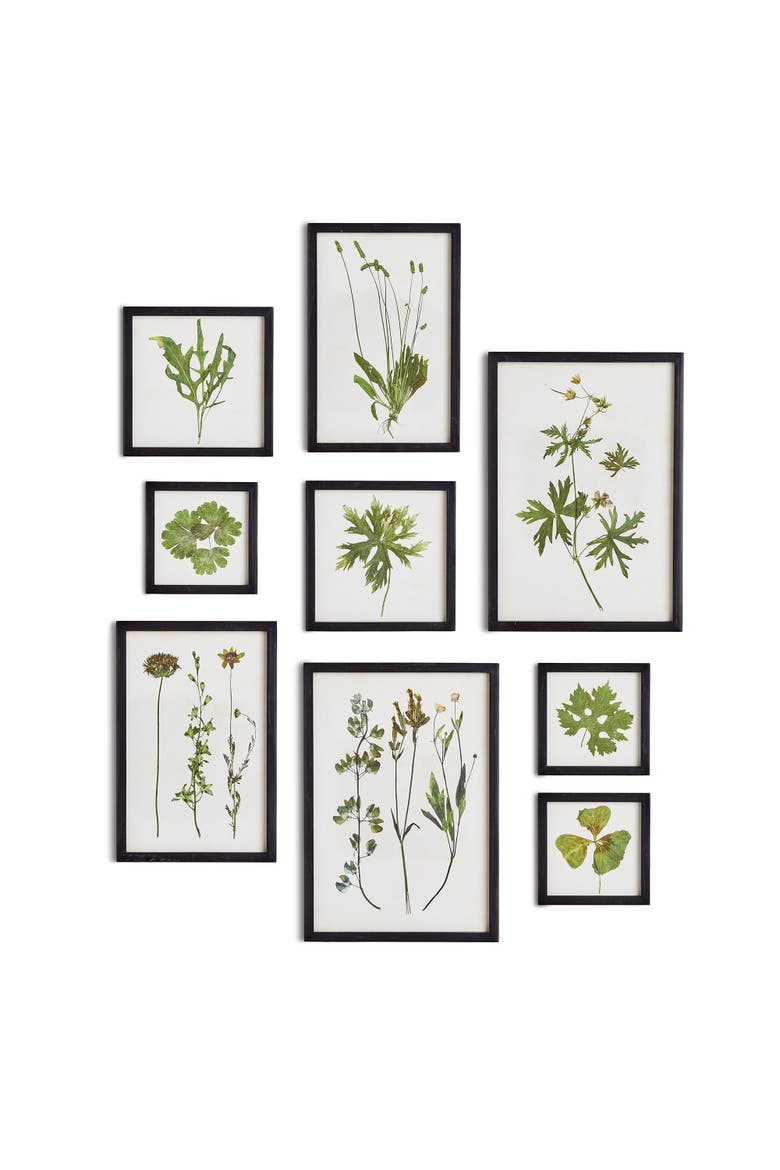 Foliage Prints, Set Of 9, Main, color, Green