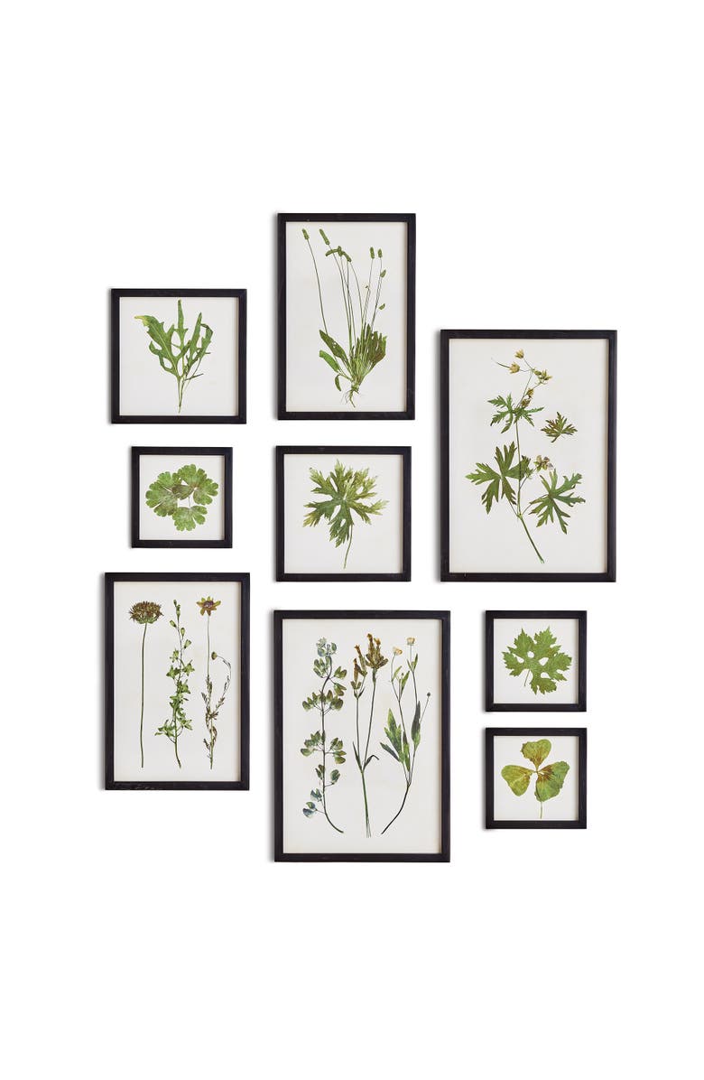 Napa Home & Garden Foliage Prints, Set Of 9, Main, color, Green