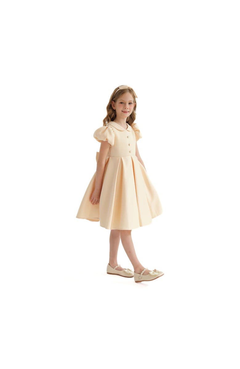 Tulleen Barrymore Dress, Alternate, color, Champagne