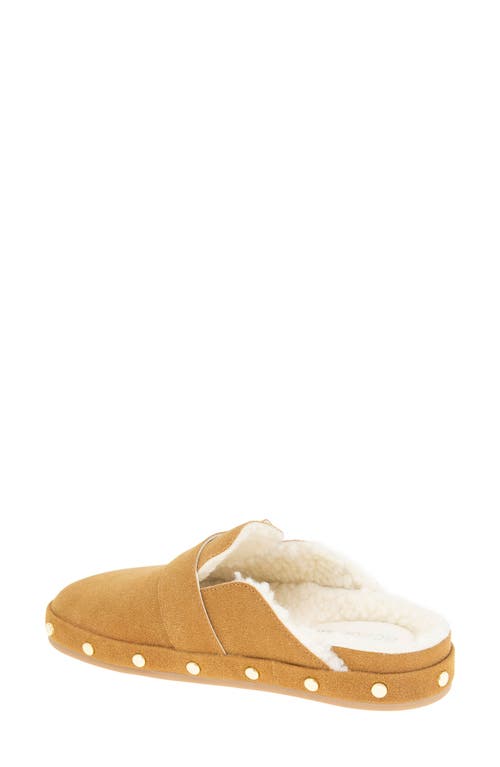 Bcbg Haisley Clog In Brown