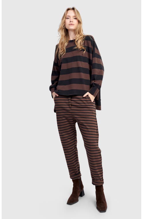 Alembika Dash Harem Pants In Multi