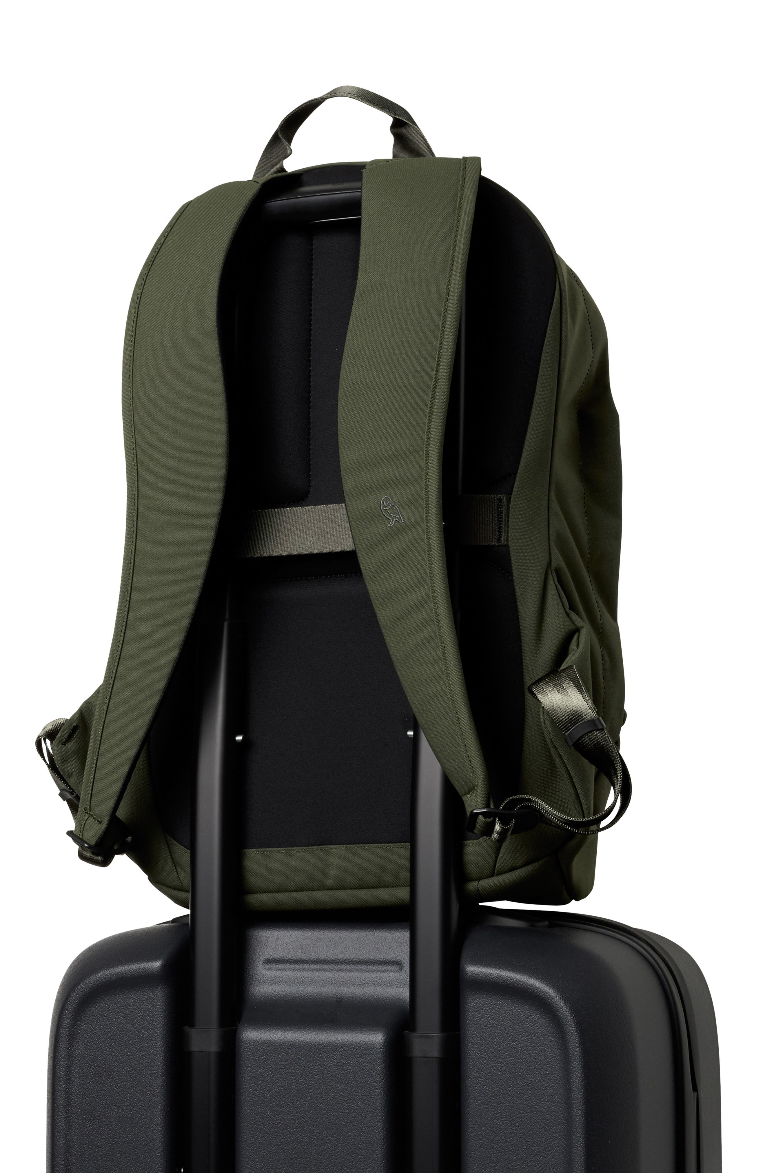 Classic Water Resistant 20L Backpack, Alternate, color, OLIVE