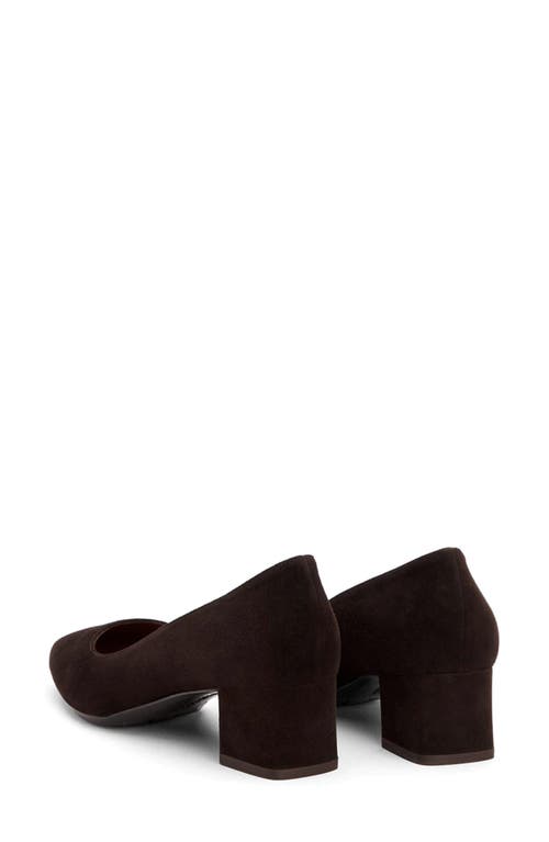 Aquatalia Pasha Pointed Toe Pump In Espresso Suede