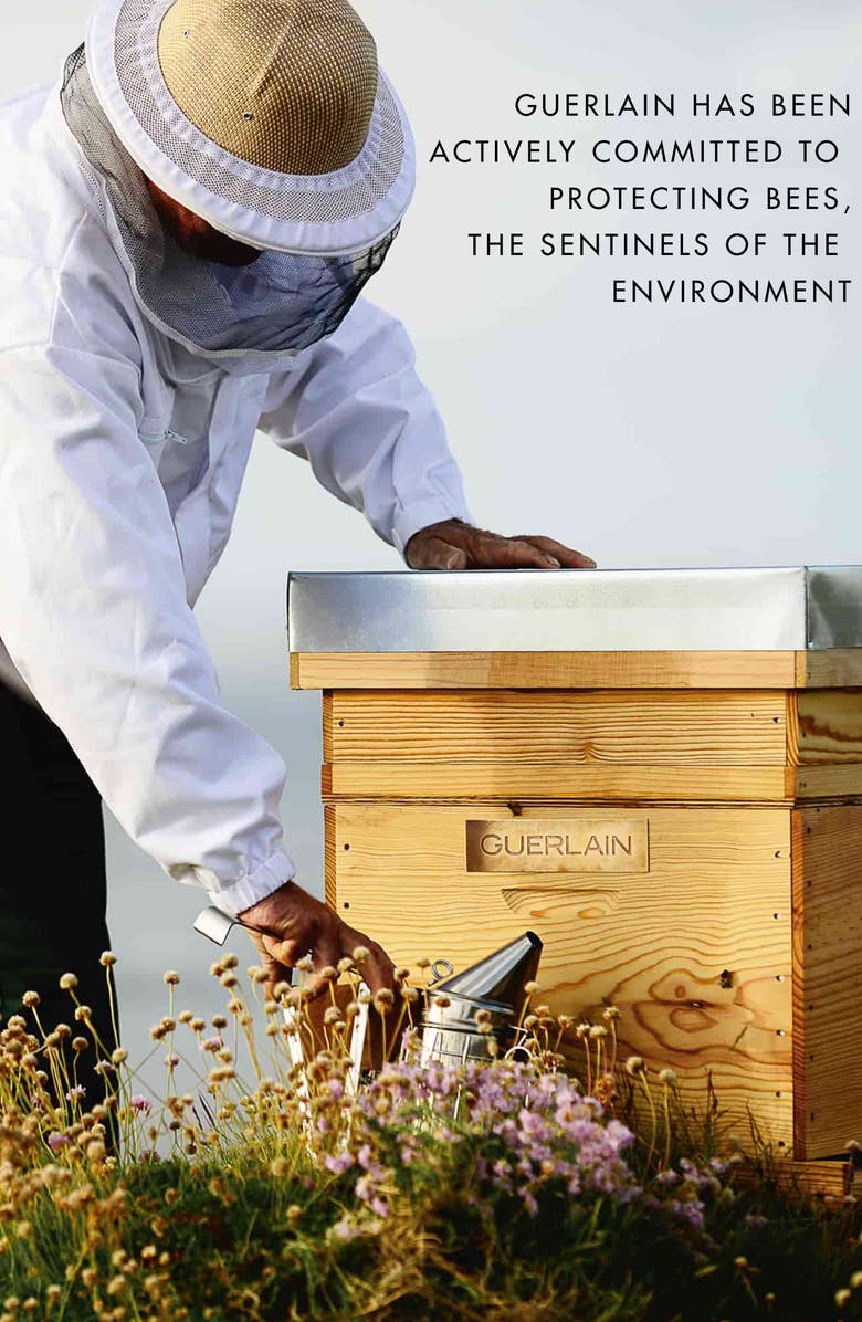 Guerlain Abeille Royale Skin Care Bestsellers Set USD $359 Value, Alternate, color,