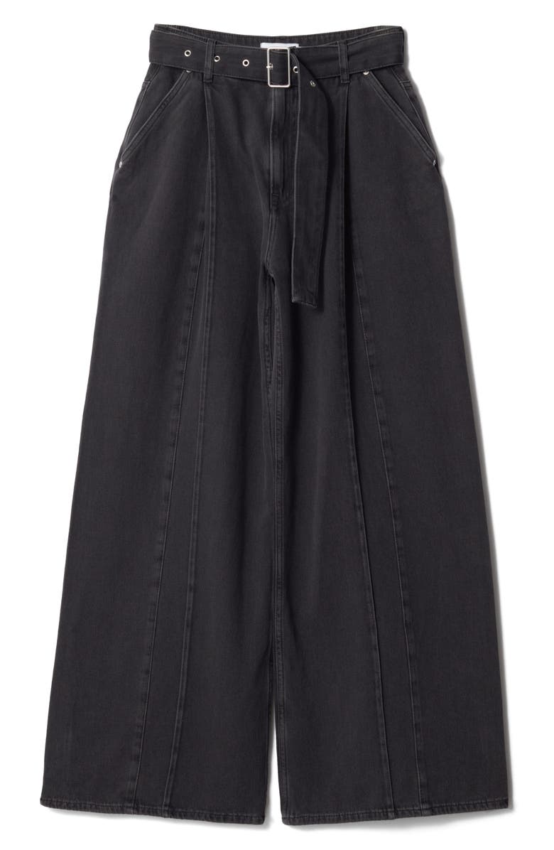 & Other Stories Pleated Belted Wide Leg Jeans, Alternate, color,