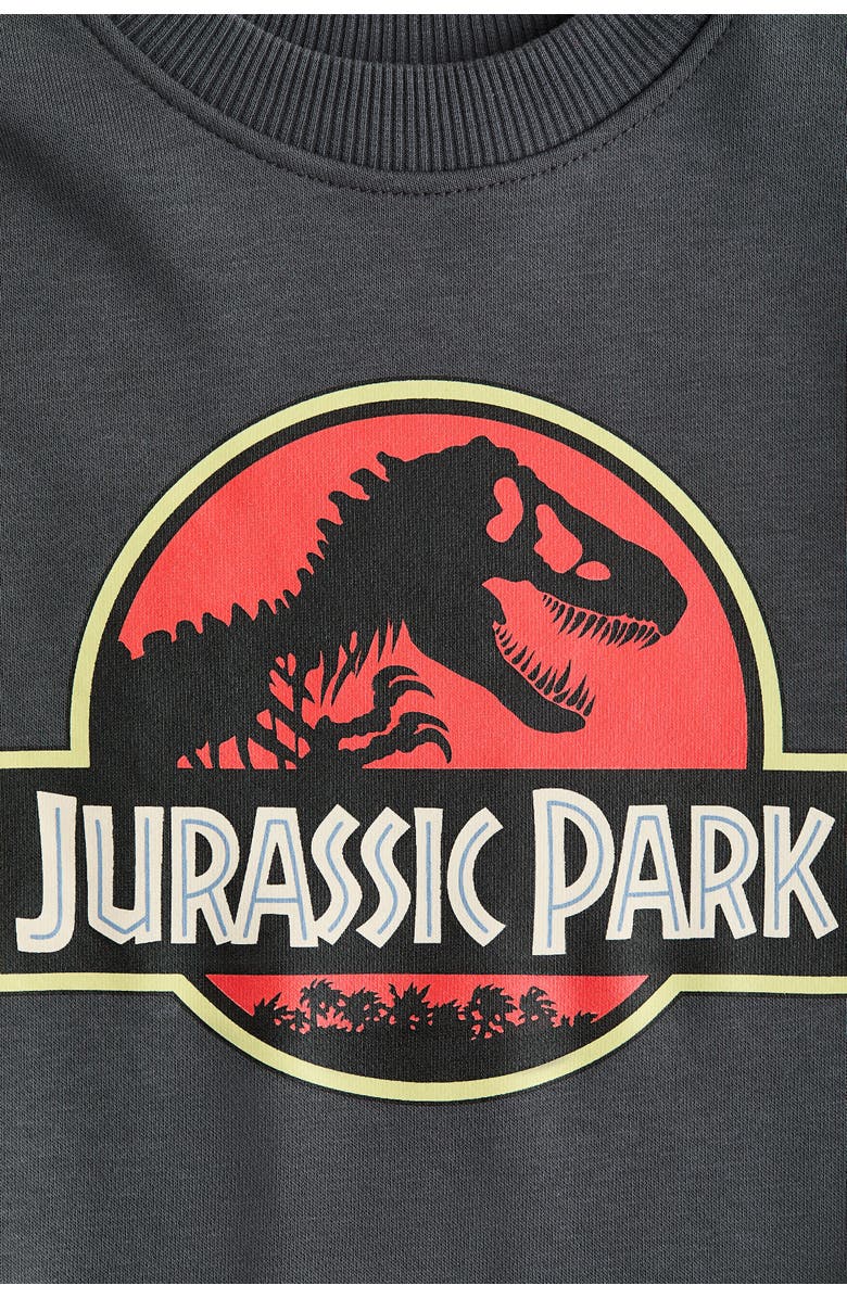 H&M Printed Sweatshirt, Alternate, color, Dark Gray/Jurassic World