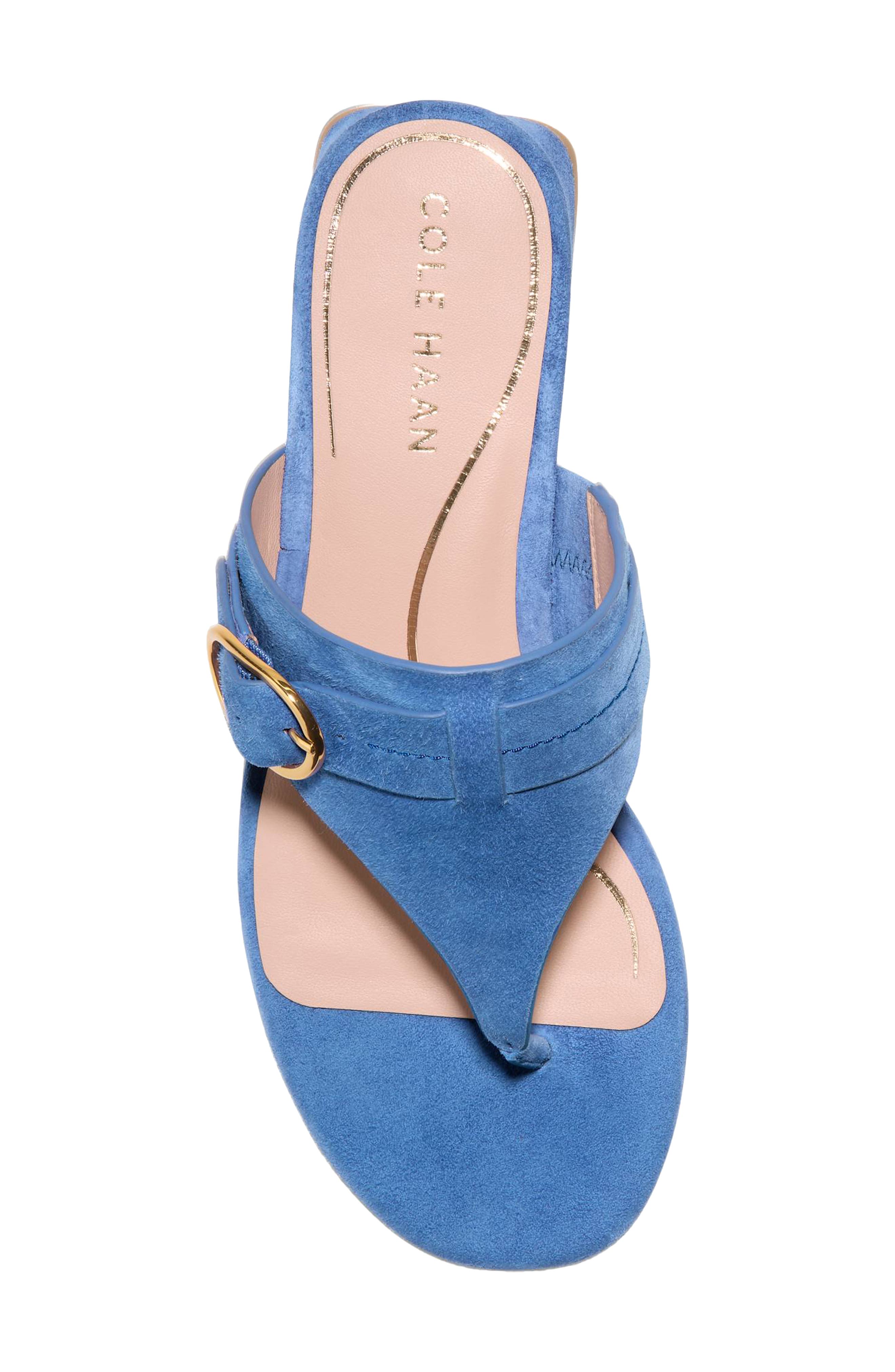 Cole Haan Gayle Flip Flop, Alternate, color, Dutch Blue Suede