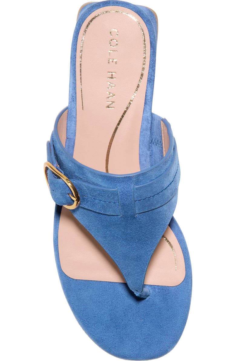Cole Haan Gayle Flip Flop, Alternate, color, Dutch Blue Suede