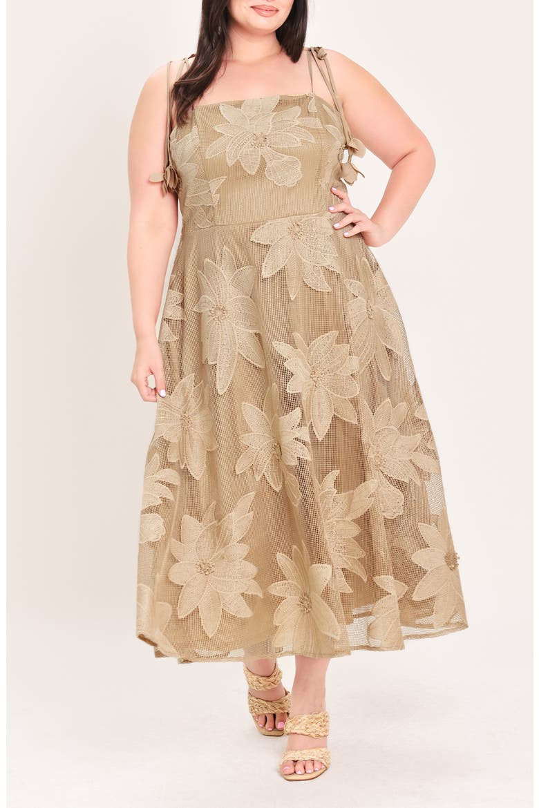 Mesh Appliqué Midi Dress, Main, color, TAN