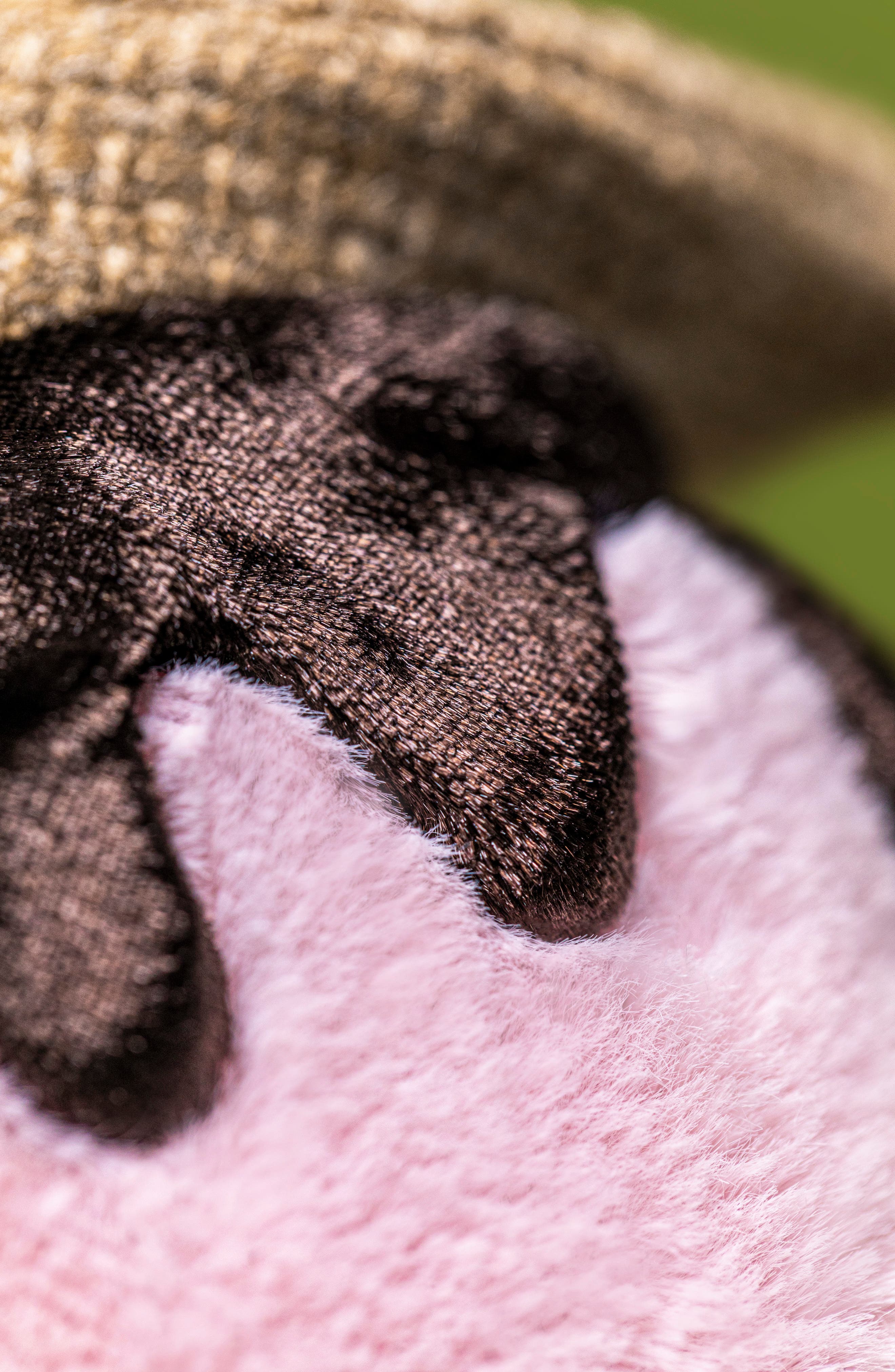 Jellycat Amuseables S'mores | Nordstrom