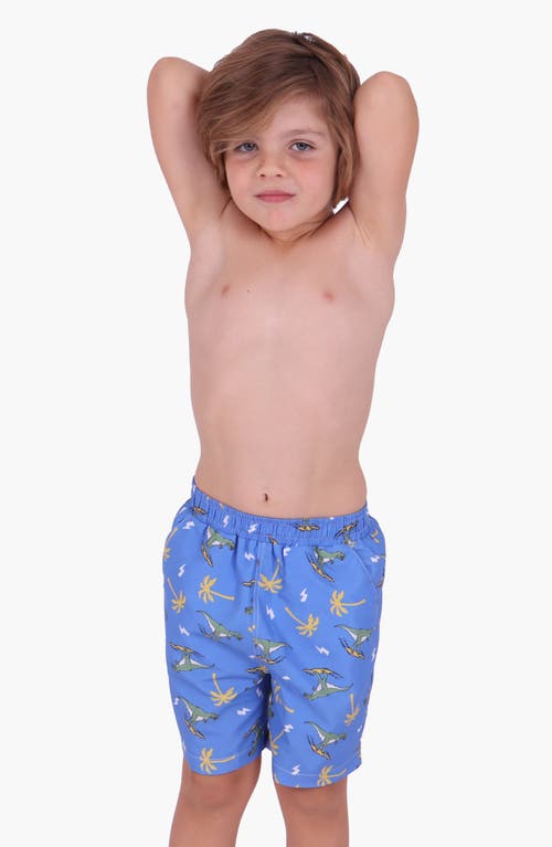 Dot Australia Dino Swim Trunks In Blue