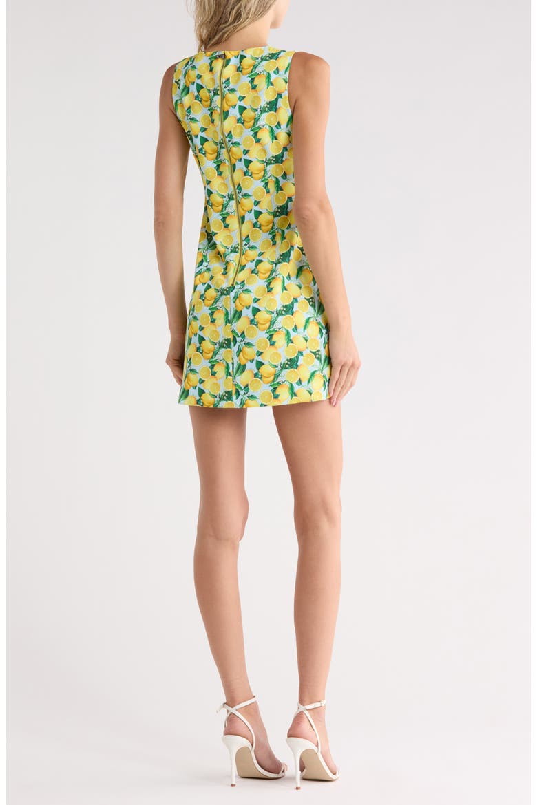 Clyde A-Line Shift Dress, Alternate, color, LEMON SQUEEZE