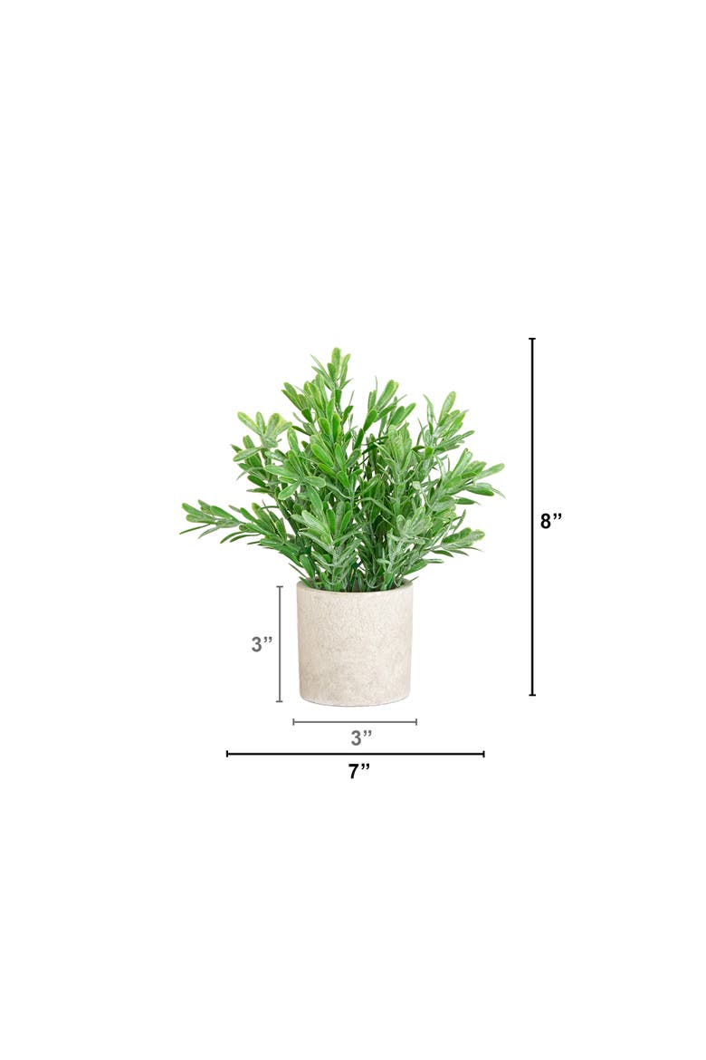8-in Artificial Grass Plant in Decorative Planter - Set of 3, Alternate, color, Green