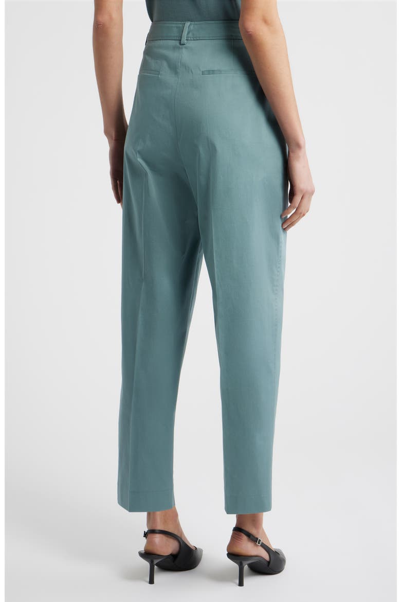 Tecarino2 Flat Front Ankle Pants, Alternate, color, REEF