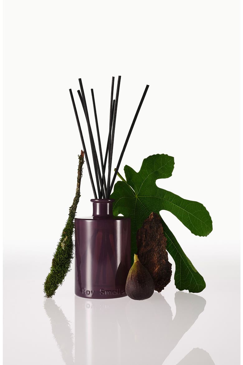 Woodphoria Reed Diffuser, Alternate, color, NO COLOR