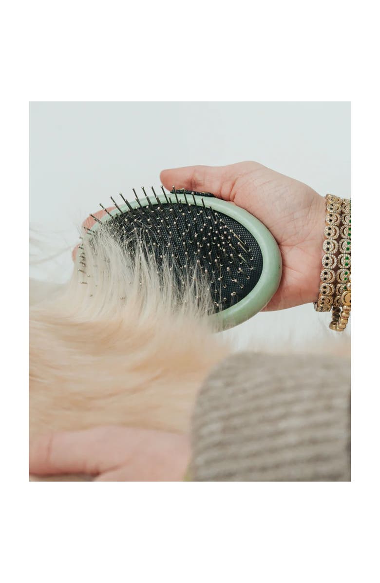 Dexypaws Pet Grooming Palm Brush, Sage Green, Dog & Cat Grooming Tool, Alternate, color, Green