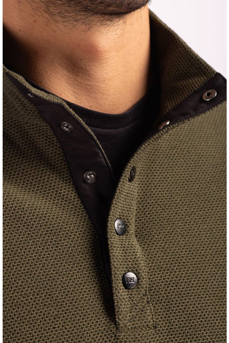 Hunts Point Fleece Snap Pullover, Alternate, color, POPLAR
