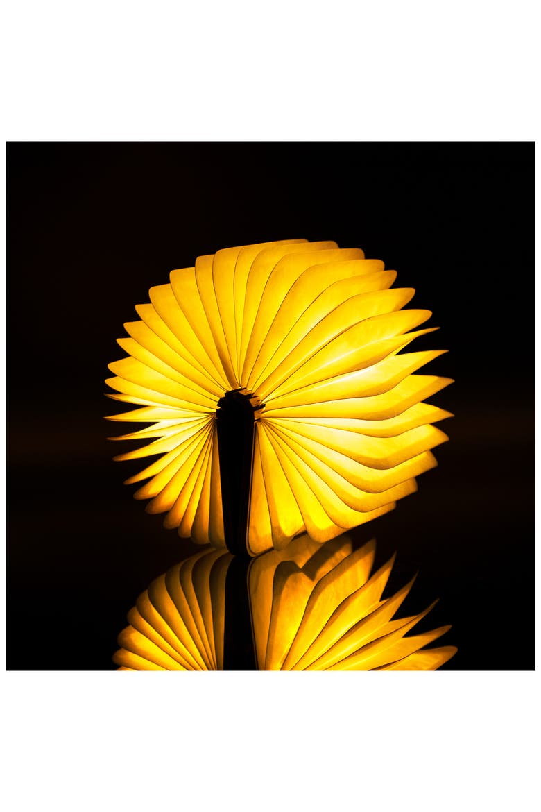 Smart Book Light, Alternate, color, MINI
