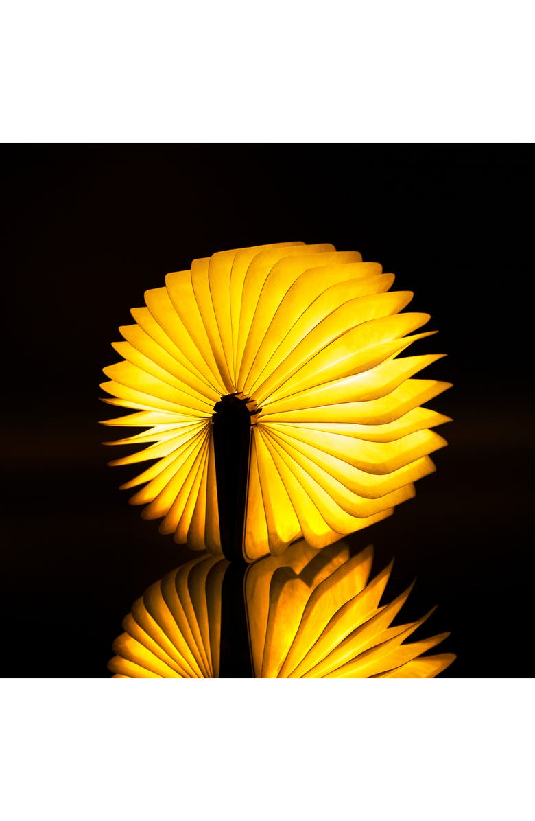 GINGKO Smart Book Light, Alternate, color, Mini