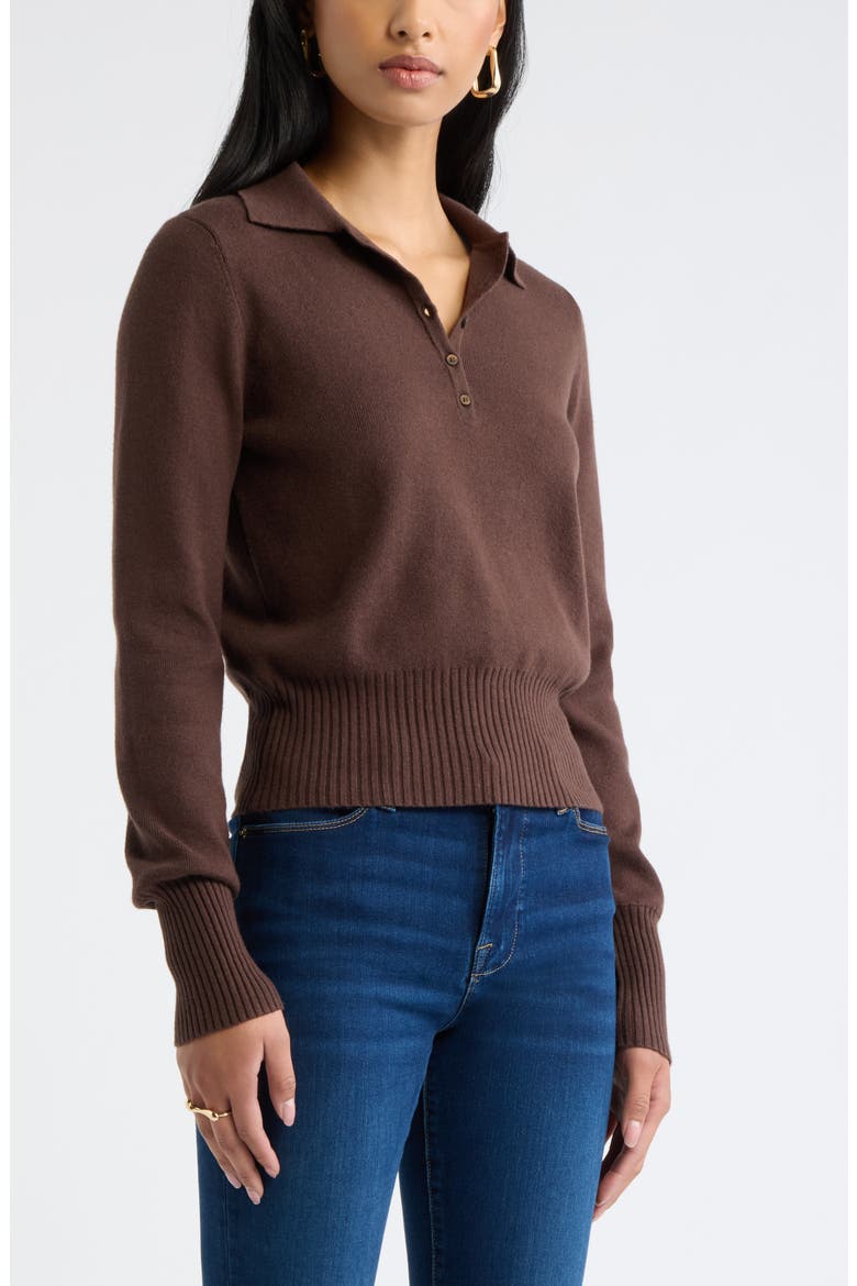 Long Sleeve Polo Sweater, Main, color, BROWN SEAL