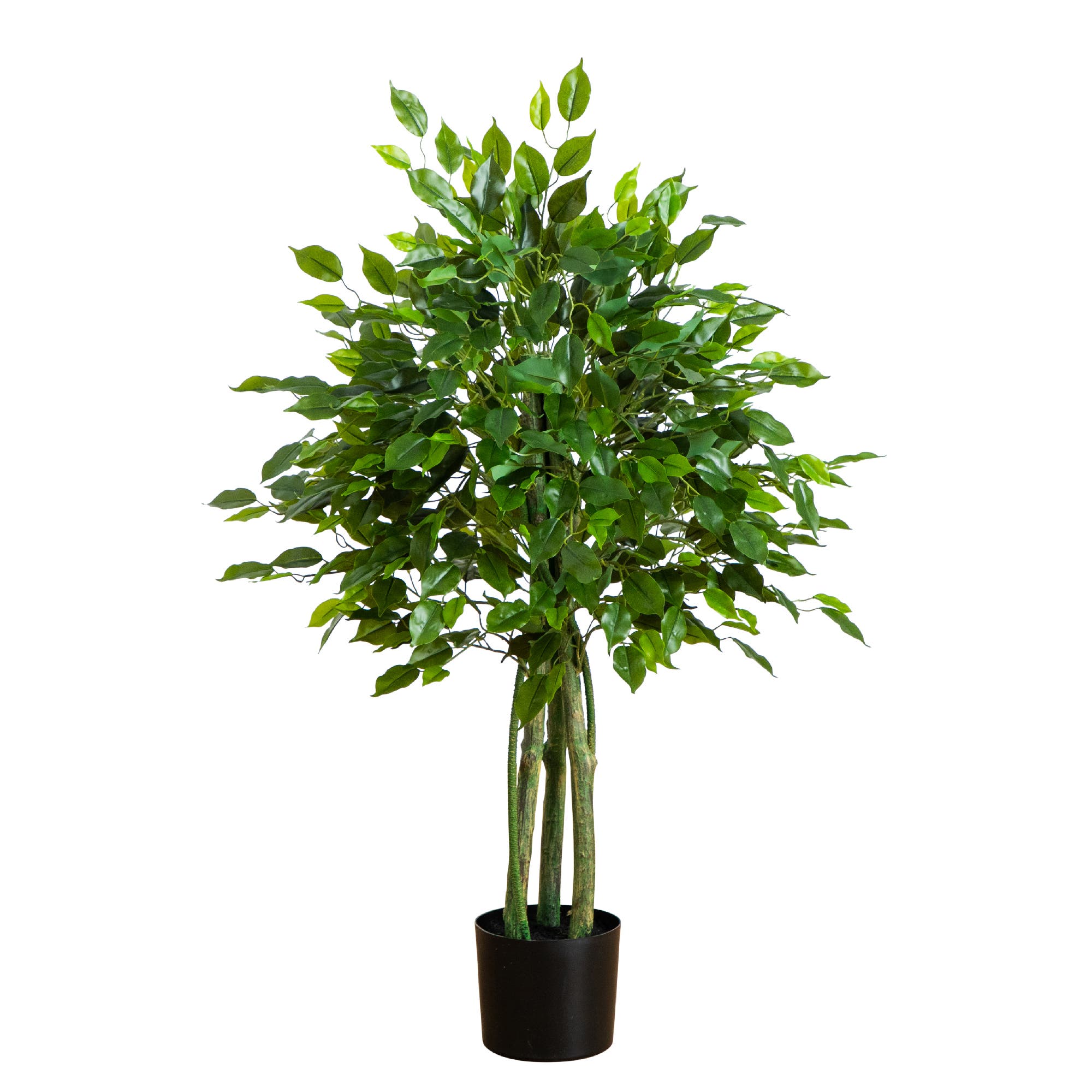 selected Green