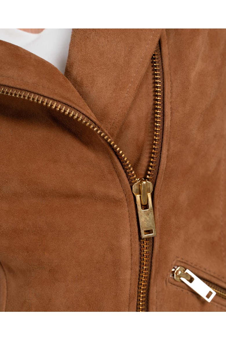 Hudson Suede Biker Jacket, Alternate, color, Camel