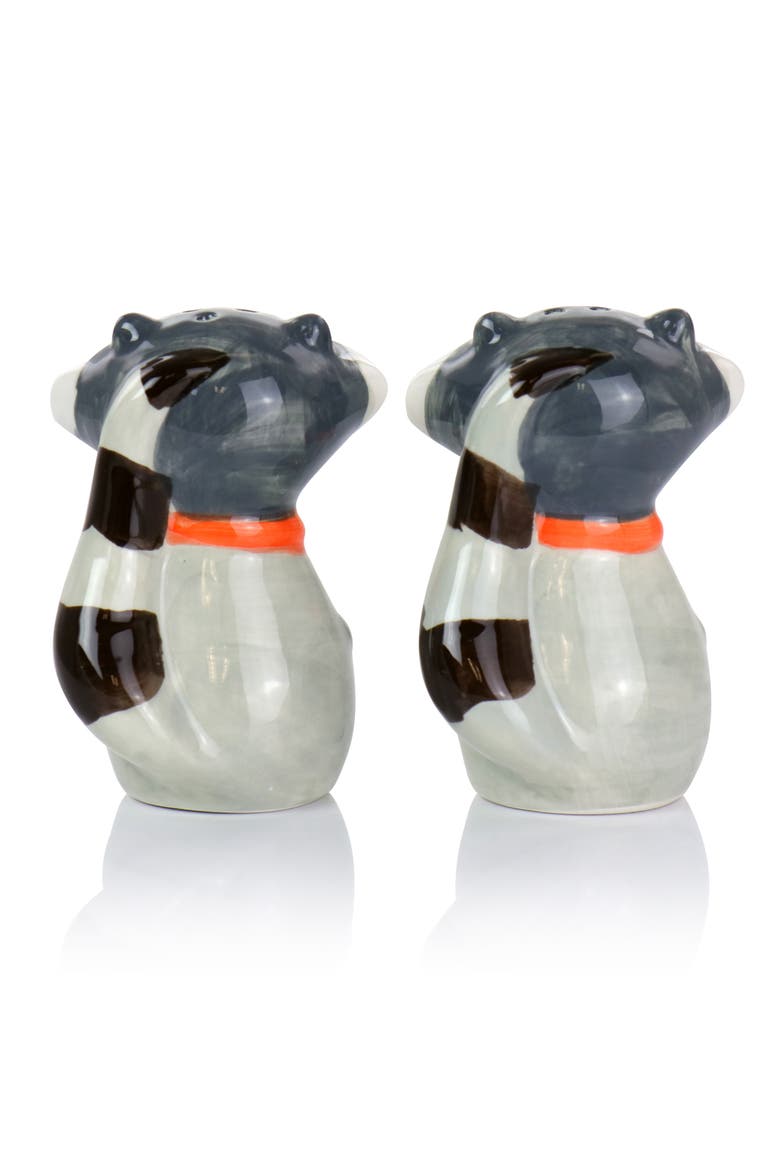 Raccoon 2 Piece Hard Dolomite Salt and Pepper Set, Alternate, color, Multi