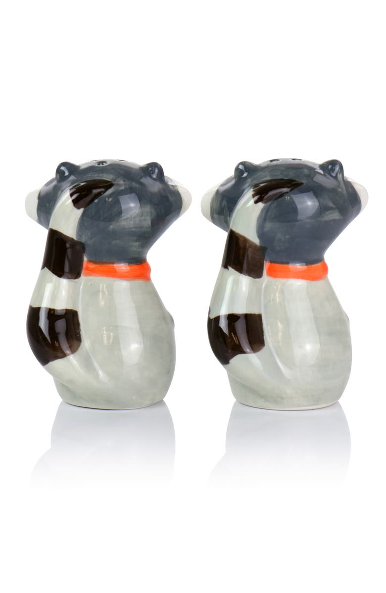 Gibson Home Woodland Raccoon 2 Piece Hard Dolomite Salt and Pepper Set, Alternate, color, Multi