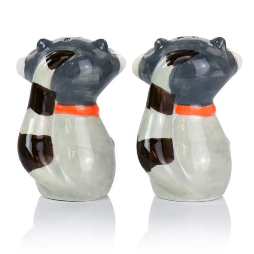 Gibson Home Woodland Raccoon 2 Piece Hard Dolomite Salt And Pepper Set In Multi