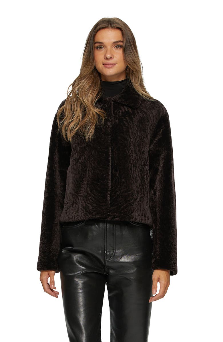 GORSKI Textured Genuine Shearling Short Jacket, Main, color, Brown