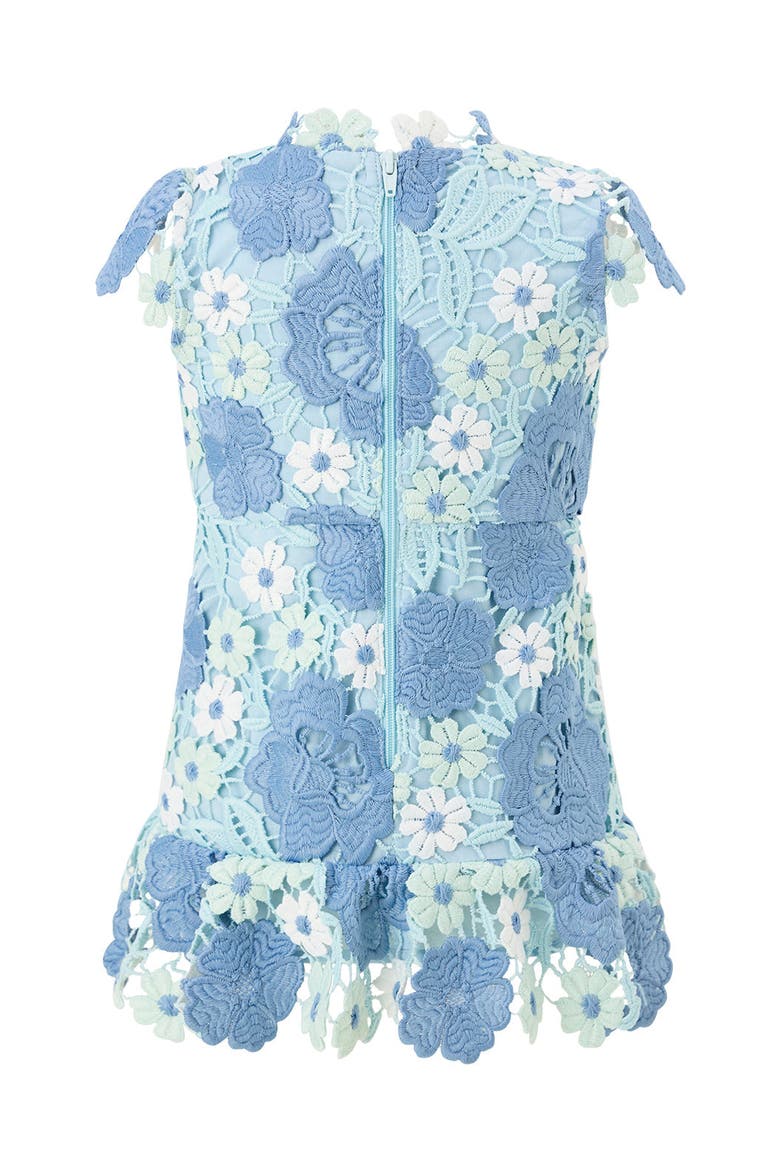 Jade Embroidered Mini Dress, Alternate, color, Powder Blue