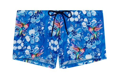 Hom Colibris Swim Shorts In Blue Print